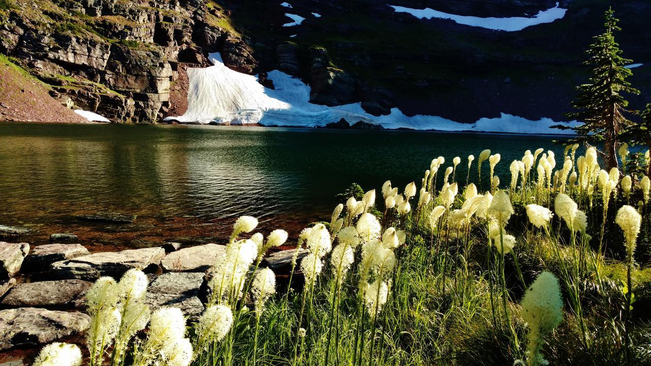 冰川之东汽车旅馆 East Glacier Park Village 外观 照片